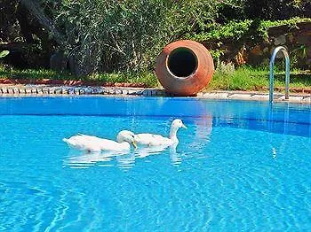 *** 招待所 Antik Zeytin Hotel & Art 古托克布库 土耳其