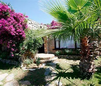 Antik Zeytin Hotel & Art 古托克布库 招待所