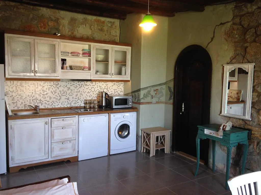 Antik Zeytin Hotel & Art 古托克布库 3*,  土耳其