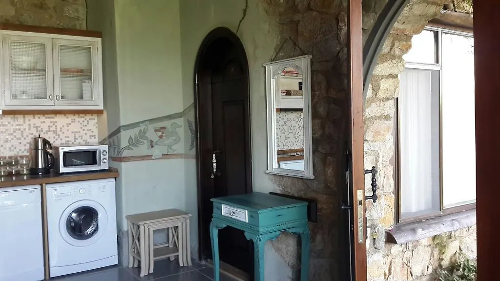 招待所 Antik Zeytin Hotel & Art 古托克布库