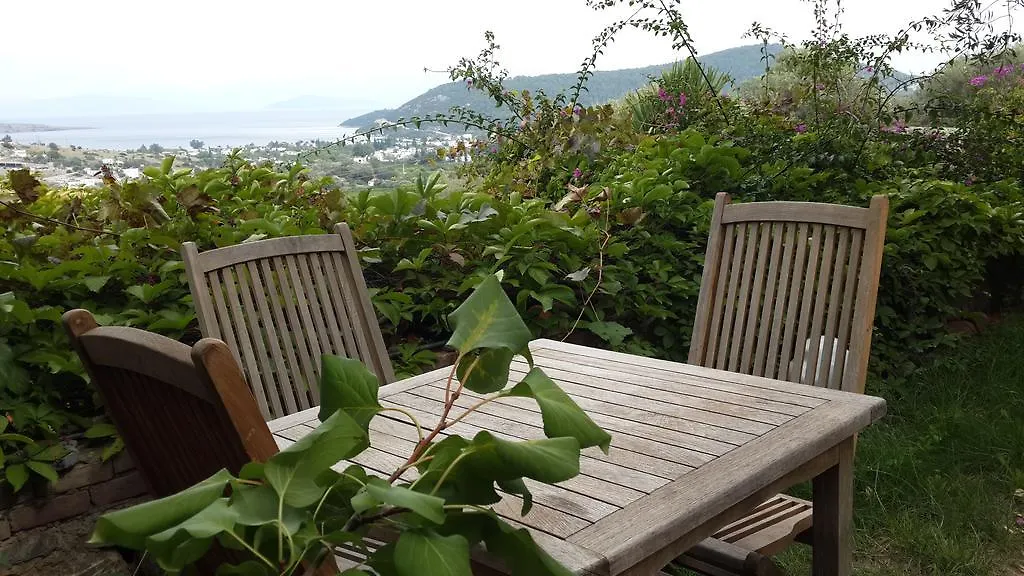 招待所 Antik Zeytin Hotel & Art 古托克布库