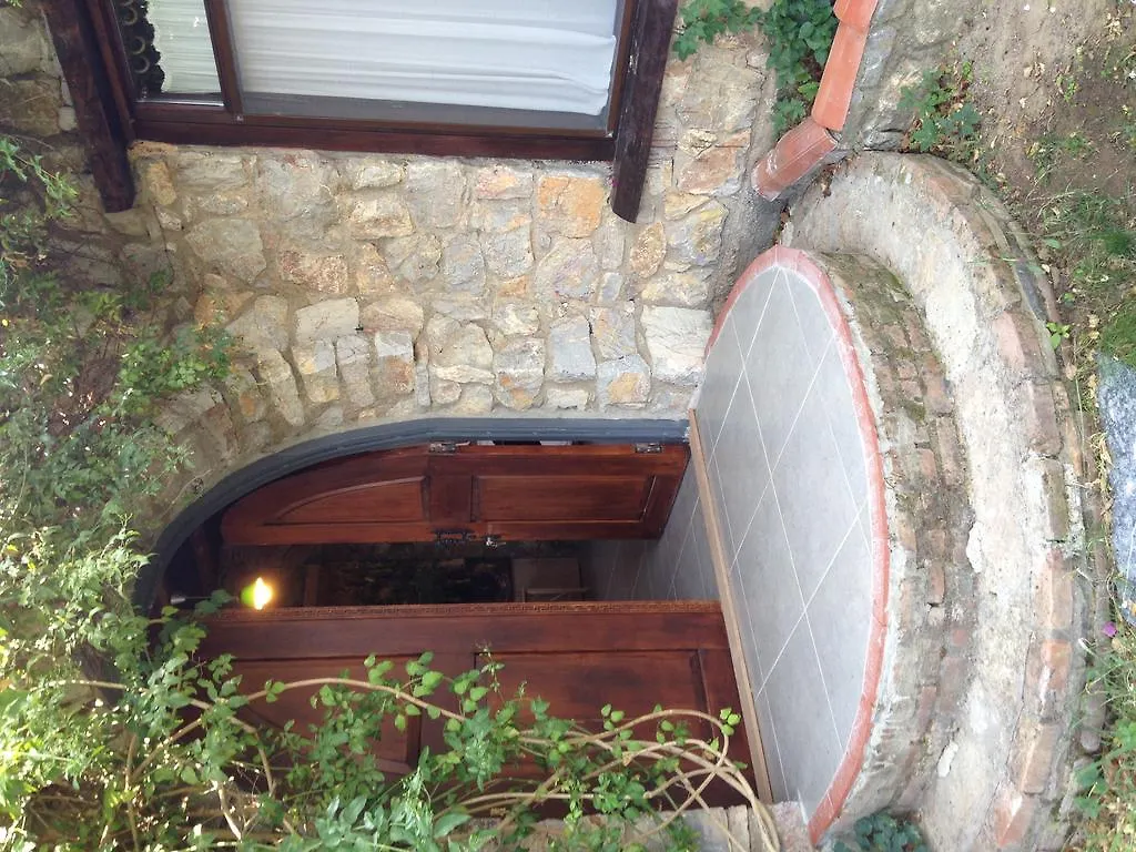 Antik Zeytin Hotel & Art 古托克布库 招待所