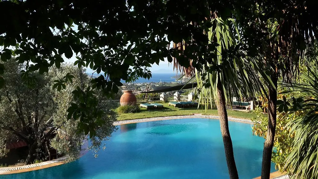 Antik Zeytin Hotel & Art 古托克布库 招待所