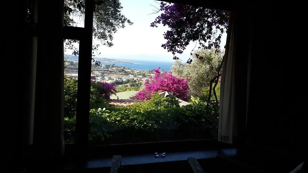 招待所 Antik Zeytin Hotel & Art 古托克布库