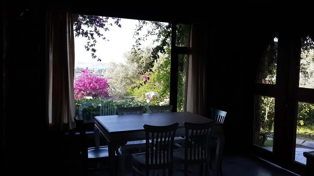 Antik Zeytin Hotel & Art 古托克布库 土耳其