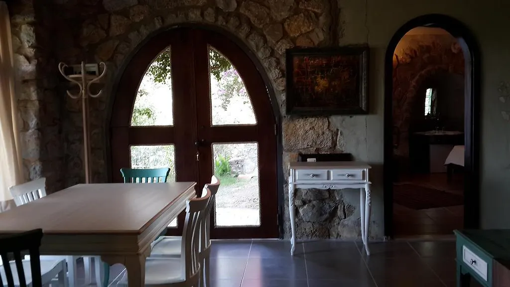 Antik Zeytin Hotel & Art 古托克布库 土耳其