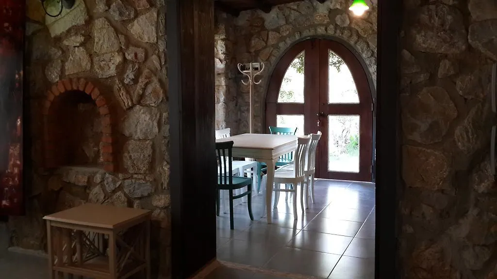 Antik Zeytin Hotel & Art 古托克布库