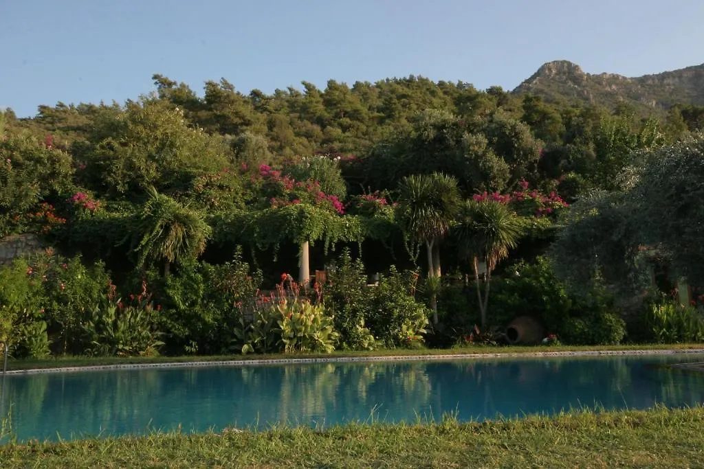 Antik Zeytin Hotel & Art 古托克布库