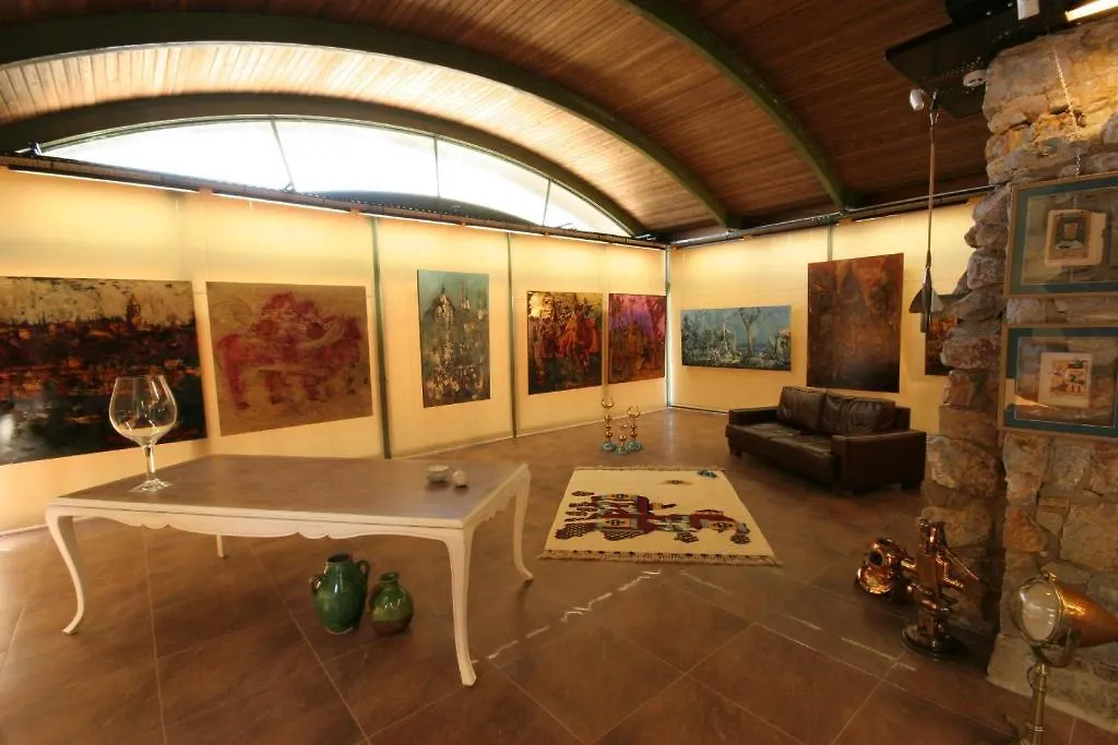 Antik Zeytin Hotel & Art 古托克布库 3*,