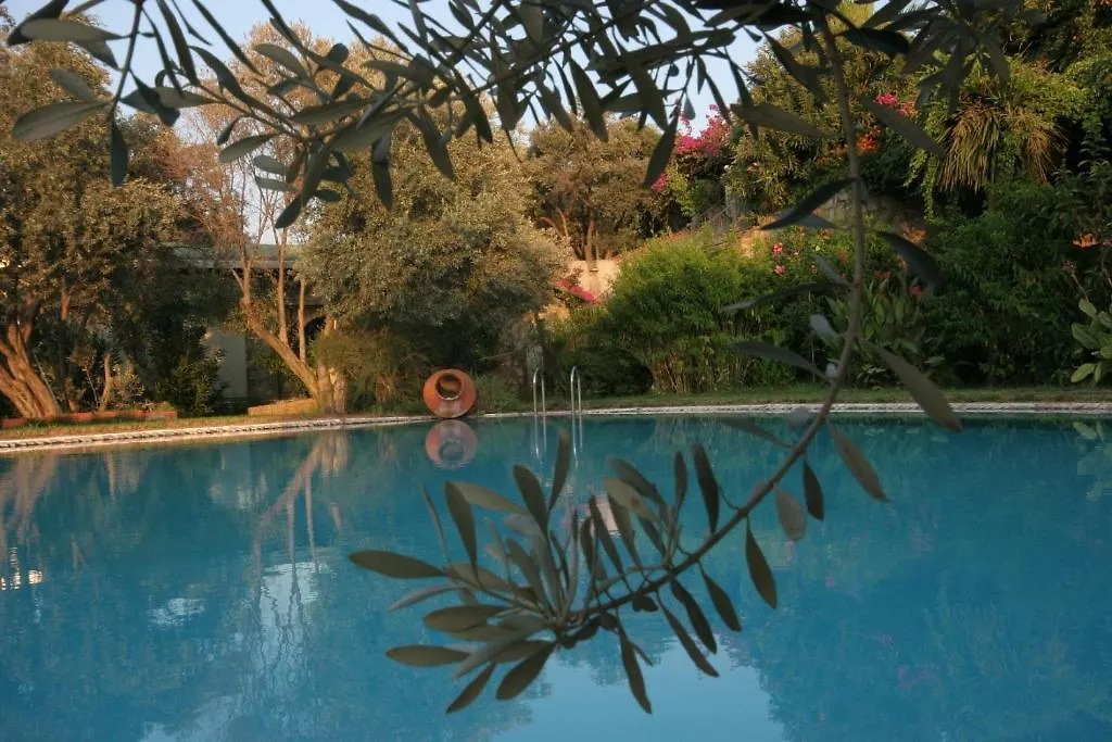 Antik Zeytin Hotel & Art 古托克布库 招待所