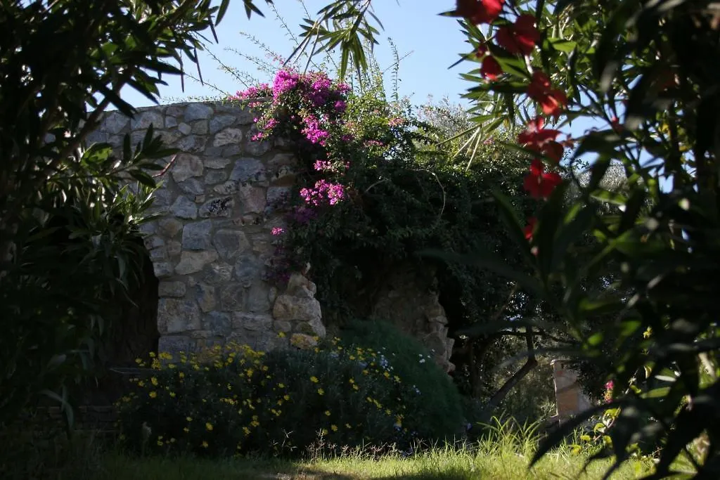 招待所 Antik Zeytin Hotel & Art 古托克布库