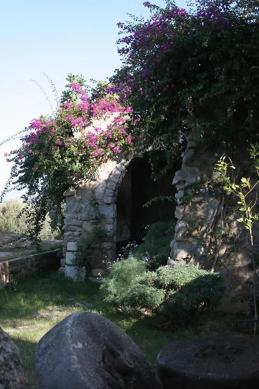 Antik Zeytin Hotel & Art 古托克布库 3*,  土耳其