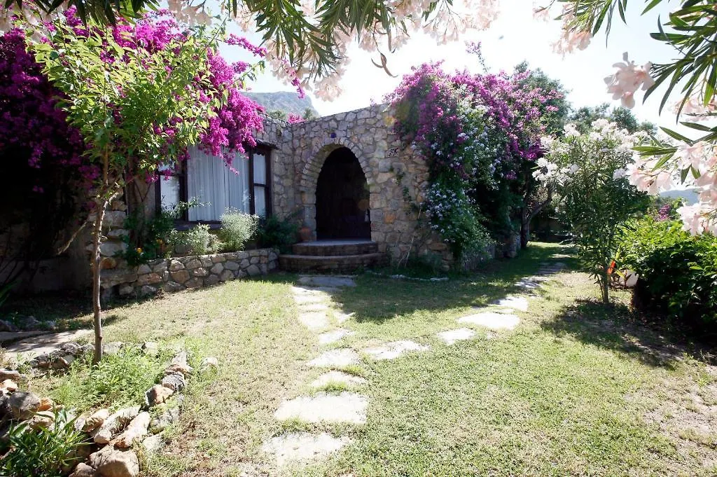 Antik Zeytin Hotel & Art 古托克布库 土耳其