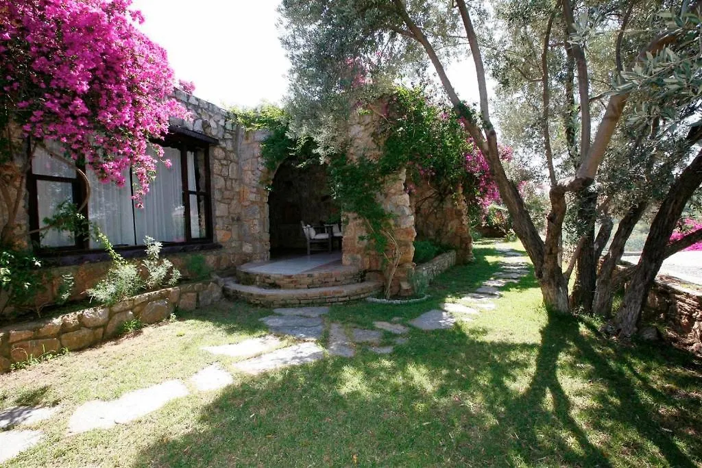Antik Zeytin Hotel & Art Göltürkbükü