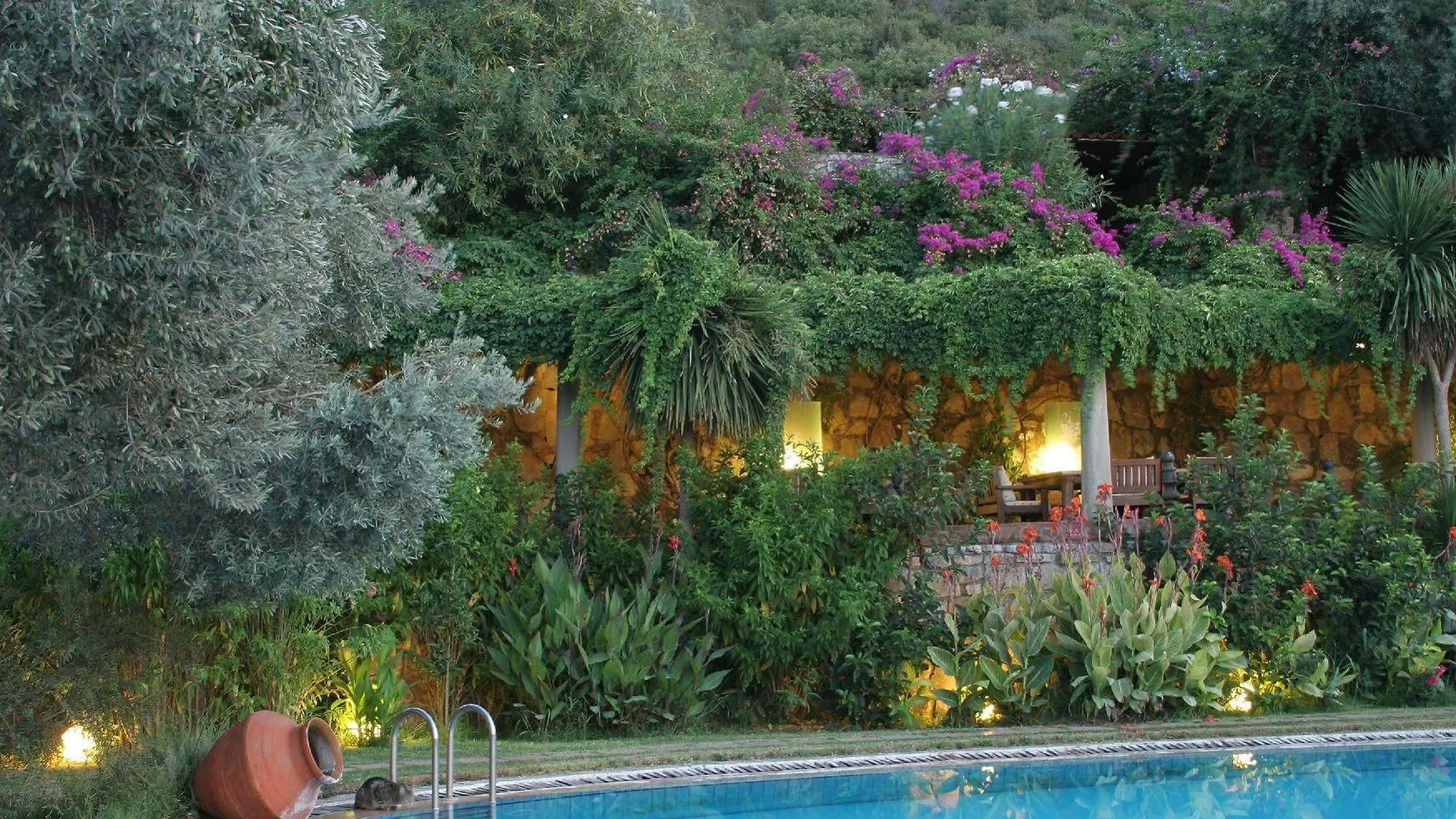 招待所 Antik Zeytin Hotel & Art 古托克布库